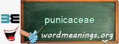 WordMeaning blackboard for punicaceae